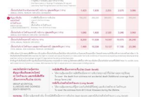 20UP+_Page_3