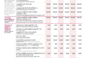 5UP_Page_2